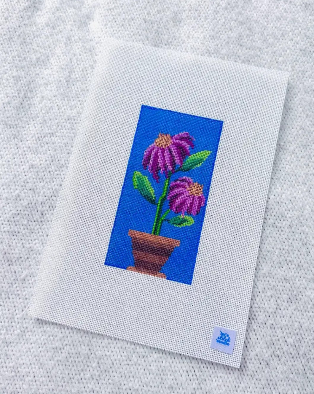 Pink/Purple Coneflower