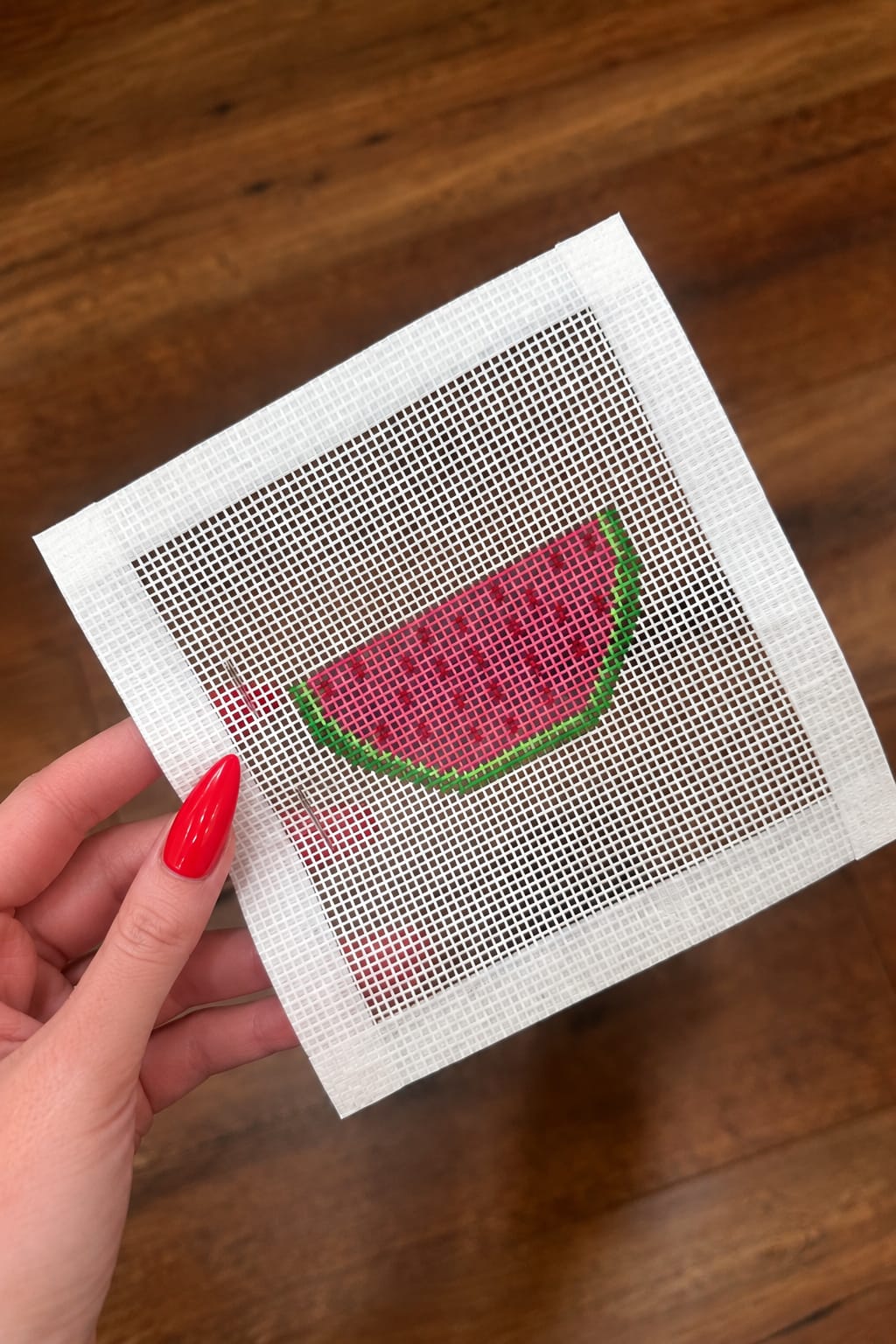 Beginner Needlepoint Class (Watermelon)- June 29