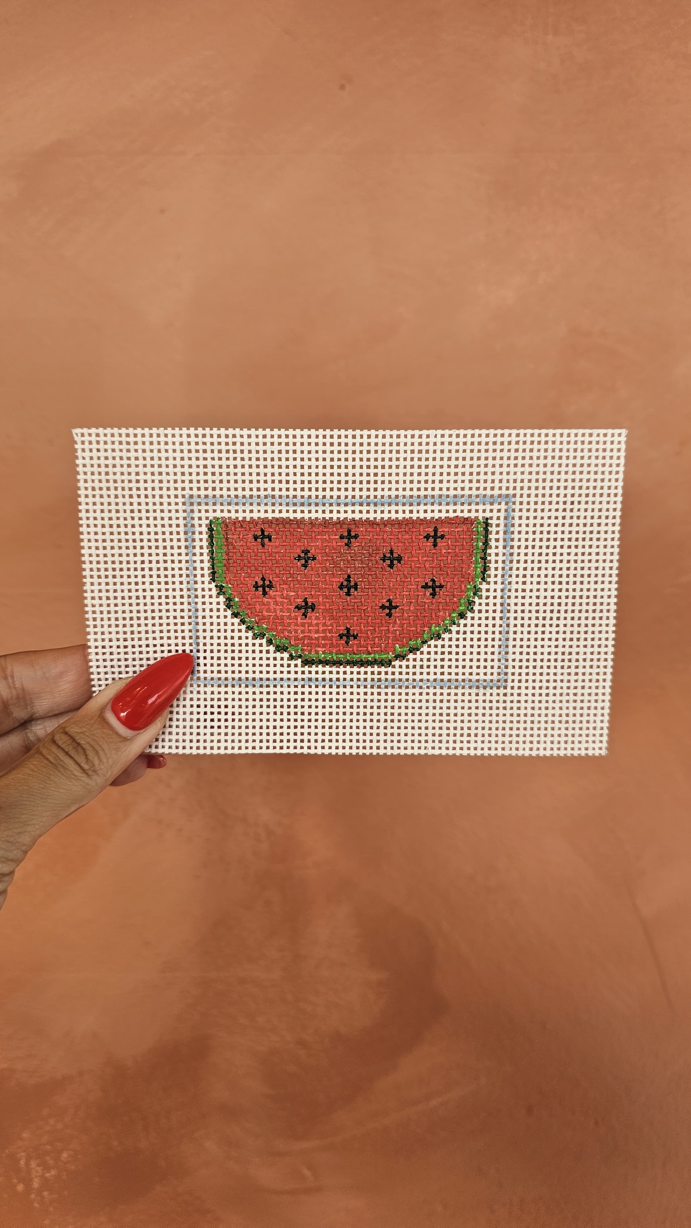 Needlepoint 101 Beginner Class- July 29th (Watermelon)